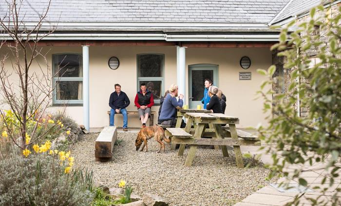 Swan Barn accommodation yard